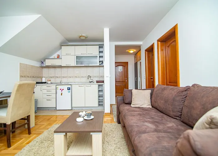 Apartman Zlatibor 1402